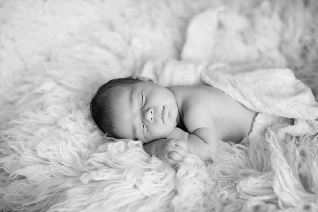 Central Coast Newborn Photographer 