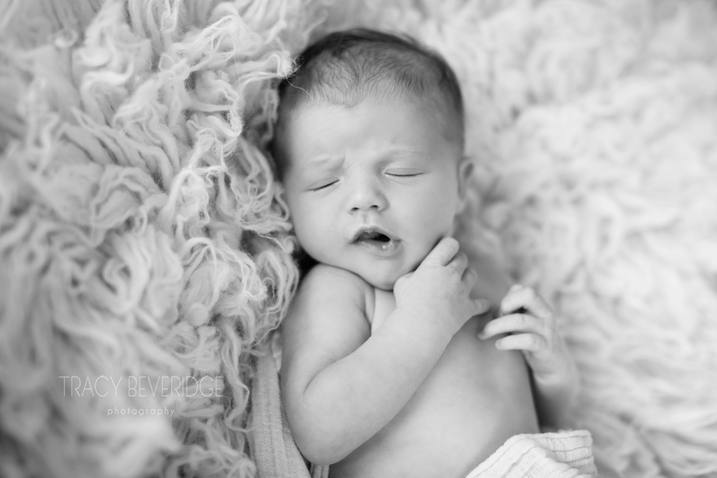 Central coast newborn photographer { Meet gorgeous Evie}