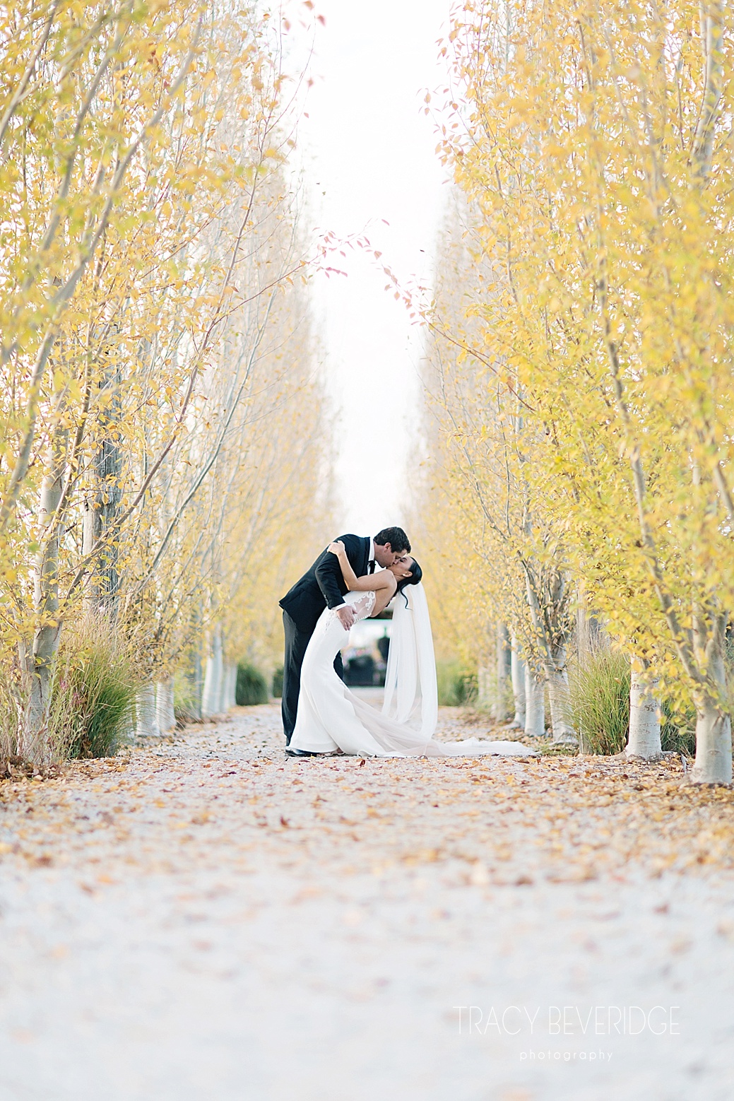 Ryan & Laviena The Vine Grove Mudgee Wedding